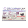 Natural Irani Fairoos 30.58Ct