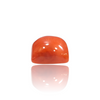 Natural Red Coral 5.40Ct — close up detail, authentic red coral moonga silver gemstone