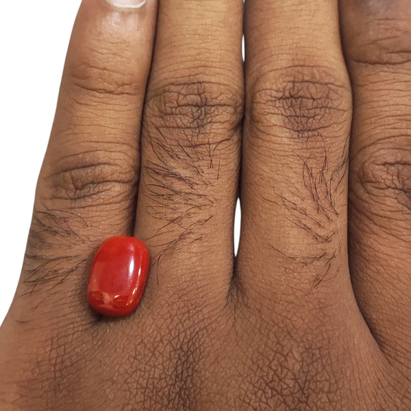 Natural Red Coral 6.10Ct — natural red coral moonga gemstone view 4