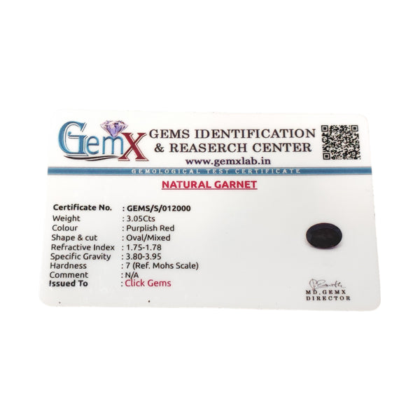 Natural Garnet 3.05Ct