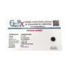 Natural Garnet 2.72Ct