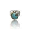 Natural Irani Fairoos Silver Ring 9.42 Ct