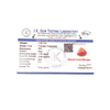 Natural Red Coral 3.80Ct — natural red coral moonga gemstone view 5
