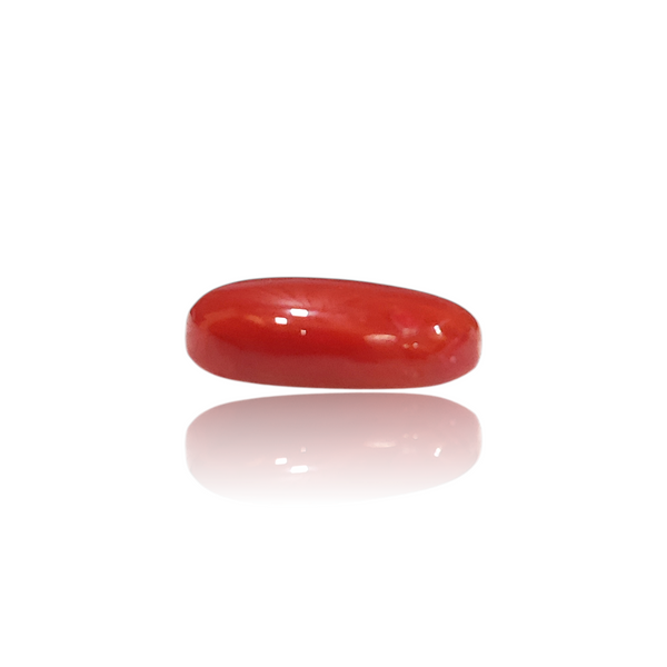 Natural Red Coral 3.85Ct — close up detail, authentic red coral moonga silver gemstone
