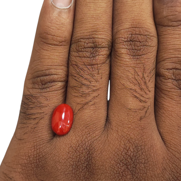 Natural Red Coral 3.85Ct — natural red coral moonga gemstone view 4