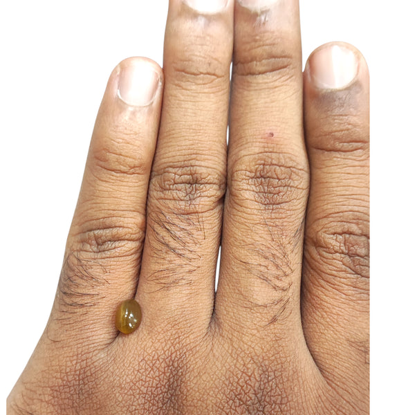 Natural Cat's Eye 1.75Ct
