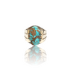 Natural Irani Fairoos Silver Ring 7.64 Ct — close up detail, authentic Irani firoza turquoise silver ring