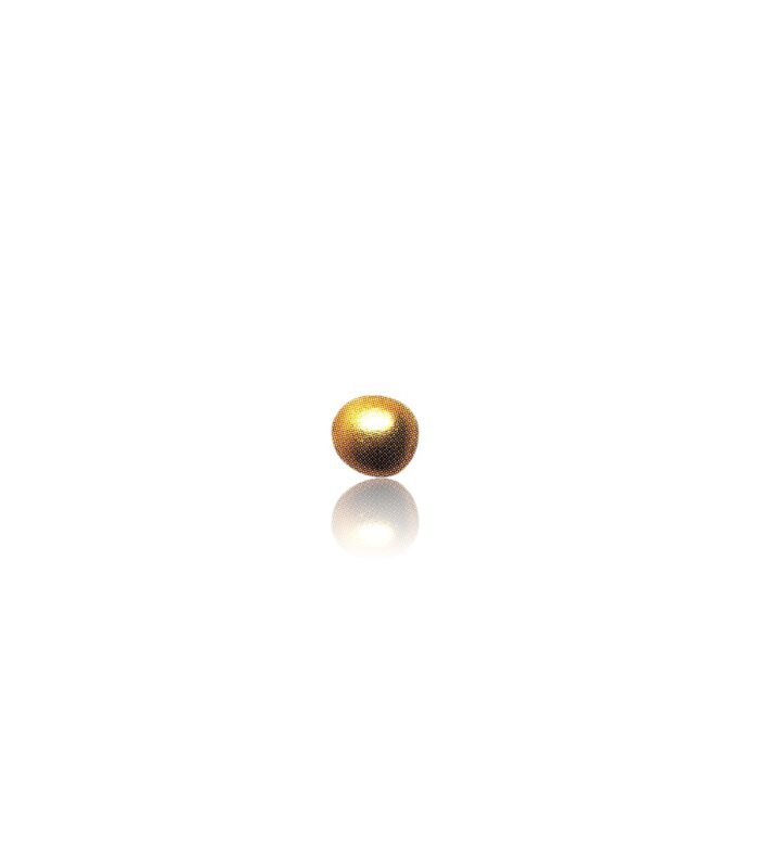 Pearl- 4.83 Carat